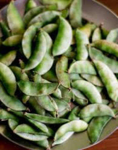 வெ.மொச்சை